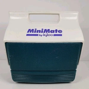Mini Mate by Igloo Kühlbox grün/lila Brotdose mit Druckknopf - Bild 1 von 14