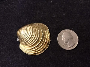 18kt. Solid Gold Clam She’ll Pin,with Diamond  - Picture 1 of 6