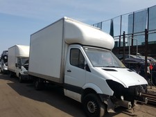 hiking in vans shoes