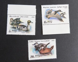 Rusia 1991 Ducks SG6264/6 pájaros Cola de Pintura Estampillada sin montar o nunca montado como nuevo - Imagen 1 de 1