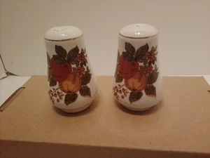 Vtg Enoch Wedgwood Tunstall Ltd English Harvest Salt &Pepper Shakers W/Autumn... - Picture 1 of 3
