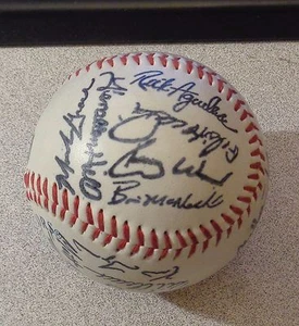 Autógrafo facsímil de los Chicago Cubs 2000 béisbol Sosa-madera-Girardi-Grace - Imagen 1 de 6