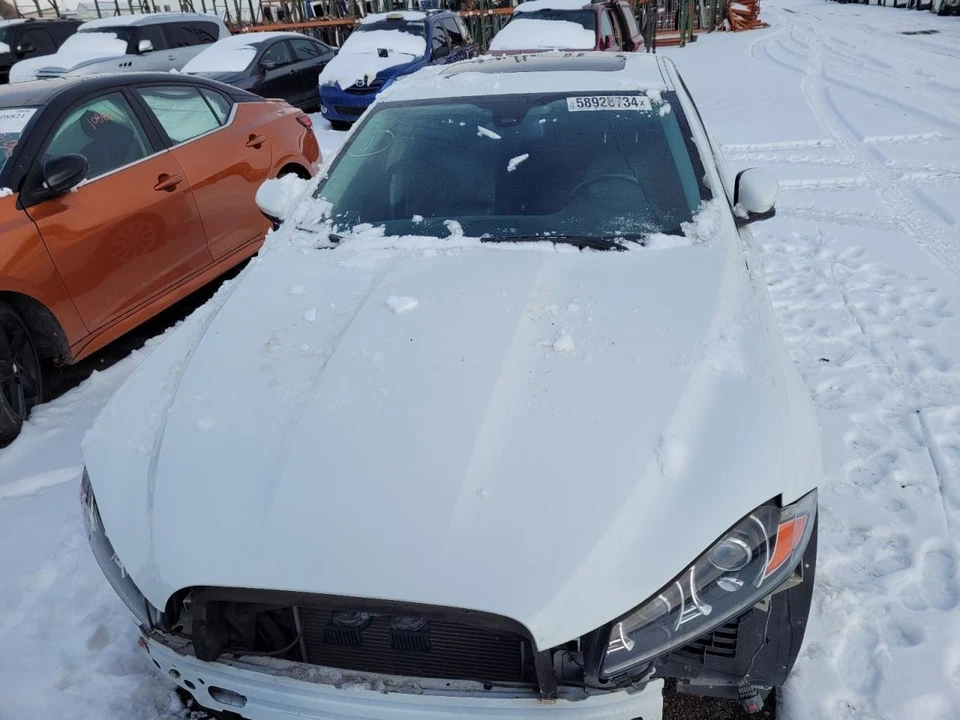 (LOCAL PICKUP ONLY) Hood Without Hood Louvers Fits 12-15 XF 1267379 - Imagem 1 de 1