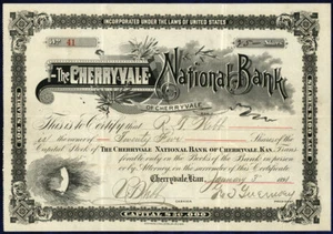 USA KS CHERRYVALE NATIONAL BANK KANSAS 1891 STOCK CERTIFICATE - Picture 1 of 1