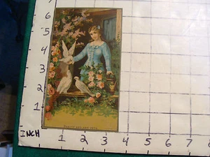 vintage paper: print: small, copyrighted, early: BEAUTY AND HER PETS - Picture 1 of 2