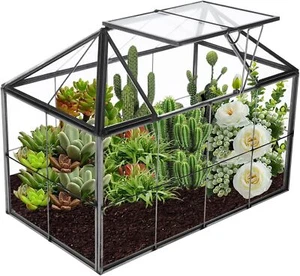 Glass Planters Terrarium with Lid Geometric Plants Terrarium Containers for Moss - Picture 1 of 9