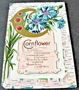 Cornflower Greetings - Postal en relieve sin publicar del siglo XIX. - Imagen 1 de 4