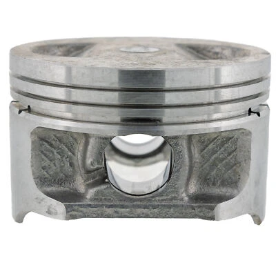 Polaris 0452432 Piston Sawtooth Phoenix Limited 200 2005-2023 - Изображение 1 из 4