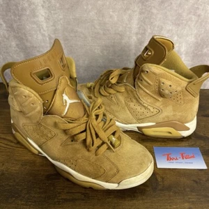 Jordan 6 Retro Wheat Brown 2017 Size 10.5 384664-705 OG Rare MJ Men’s Sneakers - Picture 1 of 9