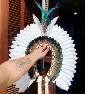Native Brazilian Indian Hat Feather Headdress Warbonnet Chief Tribal - Picture 1 of 4
