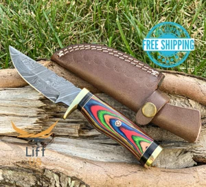 Custom HAND FORGED DAMASCUS STEEL KNIFE W/ Multi Color Wood & Brass Guard Handle - Picture 1 of 6
