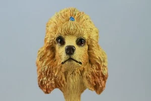 CABEZA INTERCAMBIABLE CANICHE ALBARICOQUE VER TODAS LAS RAZAS, CUERPOS @ TIENDA EBAY) - Imagen 1 de 3