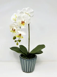 16" Lg WHITE Phalaenopsis ORCHID silk flower planter, 4" Blue ceramic footed pot - Picture 1 of 8