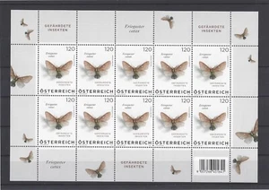 2023 Österreich Schmetterling - Butterfly Gefährdete Insekten Kleinbogen Catax - Picture 1 of 1