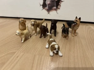 Schleich Dogs Bundle box8 - Picture 1 of 4