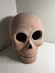 2024 Target Hyde and EEK! Light Pink - TERRACOTTA SKULL - Halloween Decor - Picture 1 of 12