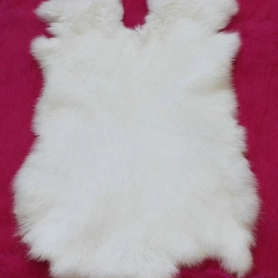 Piel de conejo teñida piel cuero real piel piel 19 colores prendas de entrenamiento de animales Foto 1 de 4