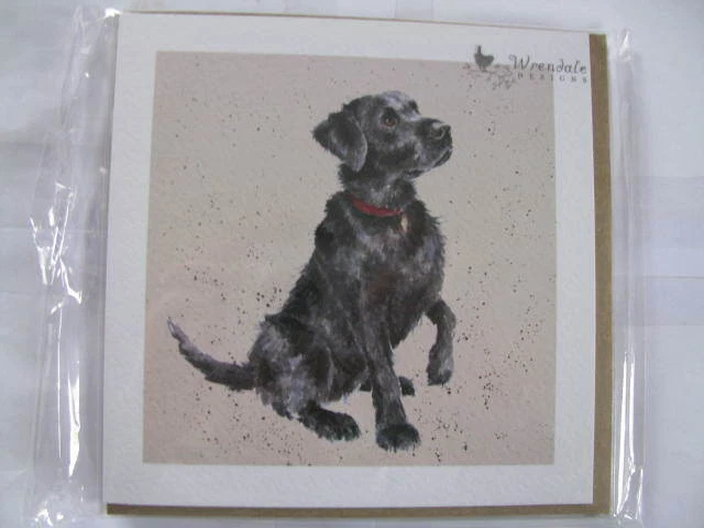 Wrendale Design Klappkarte Grußkarte I spy a butterfly Häschen mit Schmetterling