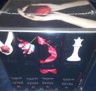 Complete Twilight Saga Series - 5 Books Boxed Set Stephenie Meyer NEW SEALED