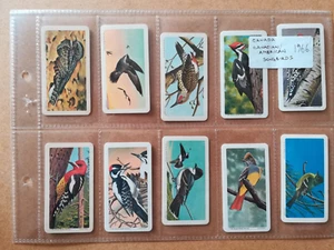 Brooke Bond Canada-Canadian /American Songbirds(1966)-Full set of 50 in sleeves - Picture 1 of 10