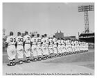 Mlb 1951 Boston Red Sox Players National Anthem Fenway Park 8 X 10 Photo Picture