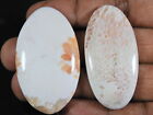 136Cts.Natural White Scolecite Oval Cabochon Loose Gemstone 2Pcs Lot