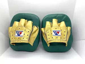 Pequeños guantes de perforación de boxeo ganadores curvos verdes y dorados CO-CM-10 usados Japón - Imagen 1 de 13