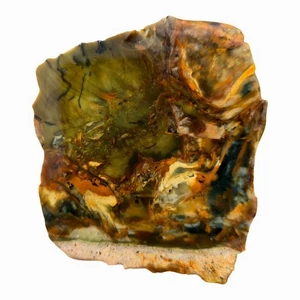 Morrisonite Jasper Slab - Green Butterscotch Blue Mix - Oregon Classic - Picture 1 of 4