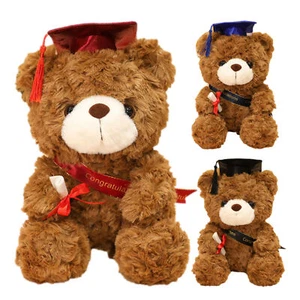 Graduation Bears Gift Class of 2022 Grad Bear Plush Bear Stuffed Doll Gifts - Picture 1 of 15