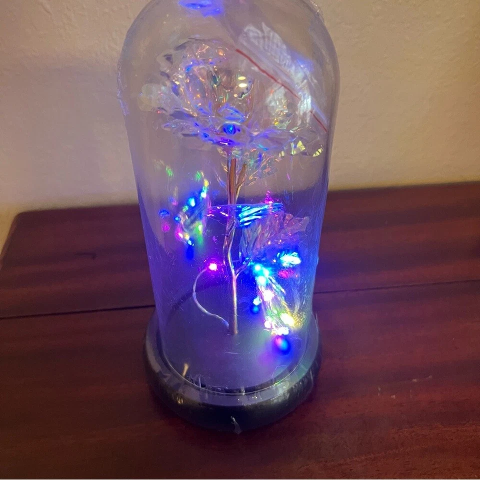 Dream of Flowers Lighted Rose in Glass Dome with Faux Wooden Base. New!! - Image 1 of 4