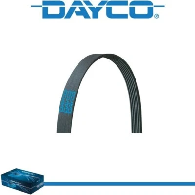 Dayco Poly Rib Serpentine Belt for CHEVROLET P6000 1993 V8-6.0L - Image 1 of 4
