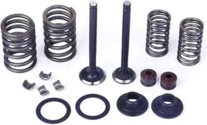 90cc E-22 147FM ENGINE INTAKE EXHAUST VALVES TAOTAO,ROKETA,COOLSTER ATV,GO KART - Imagen 1 de 3