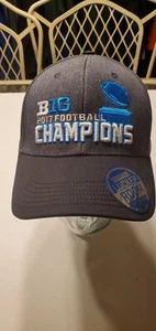 Ohio State Buckeyes Top of the World 2017 Big-10 Champion  adjustable hat - Picture 1 of 6