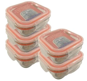 Portion Perfection Portion Control Bari-Prepper 5x Bariatric Meal Prep Container - Picture 1 of 11