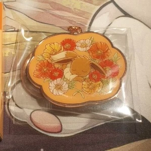 Sleeping Eevee Pokemon Metal Keyring Collection Fleur De Coquelicot US Seller  - Picture 1 of 3