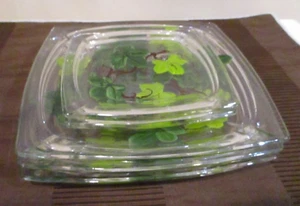 Franciscan Square American Ivy Leaf Glass Salad & Dessert Plates, Pattern (5pc) - Picture 1 of 7