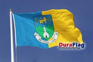COUNTY WICKLOW Irlanda EIRE DURAFLAG resistente BANDERA 20" X 12" 50 cm x 30 cm - Imagen 1 de 4
