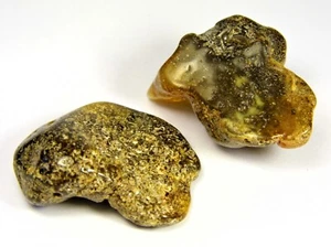 Konvolut 2 Baltische Bernsteine 22gr. Schwarzbraun Natur Echt Poliert 1027a - Bild 1 von 10