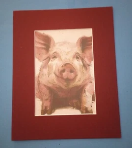 8" x 10" Matted 5" x 7" Watercolor Print Portrait of Smiling Pink  Farm Pig - Picture 1 of 3