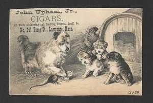 Tarjeta comercial de tabaco John Upham Jr. de 1880 - Perros jugando con ratas - Lawrence, MA - Imagen 1 de 2