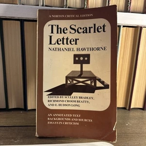The Scarlett Letter 1961 A Norton Critical Edition - Picture 1 of 2