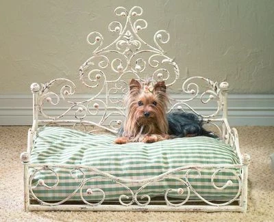 KENSINGTON ROW HOME COLLECTION FRENCH QUARTER DOG BED - CAT BED - DISTRESSED ANTIQUE WHITE FINISH