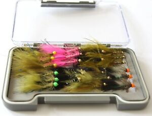 24 Trout Streamer Flies, Damsels Cats Woolies  Boxed Set Gold Heads & Hot Heads 