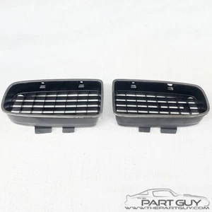 1973 Trans Am Front Nose Grilles Firebird Formula Endura Grille Grill Grills 73 - Picture 1 of 21
