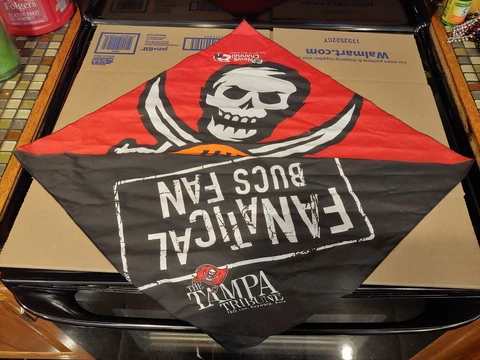 Tampa Bay Buccaneers Game Day Fun Pack with Bandana,Sunglasses, and beads Cover