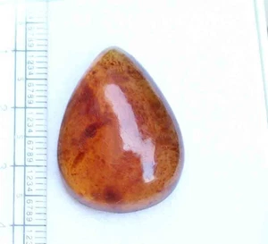 Designer Natural Baltic Amber Pear cabochon 21*29 mm 14.10 CT 1 Pic - Picture 1 of 5