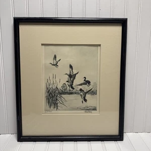 Richard E. Bishop -Lake Erie Mallards- Signed Etching Repro Framed/Glass* - Picture 1 of 11