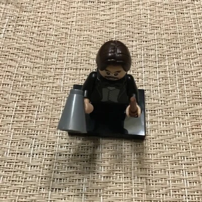 LEGO HARRY POTTER FANTASTIC BEAST MINIFIGURE 71022 PROFESSOR FILIUS FLITWICK - Image 1 of 2