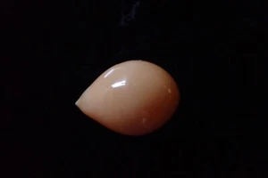 wild pearl-cassis cornuta 10.4-m.m. gem - Picture 1 of 9