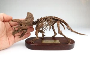 1:35 Scale Triceratops Skeleton Model 3D Printed Dinosaur Animal Scene GK Decor - Picture 1 of 7